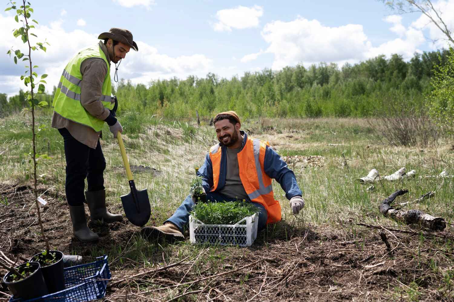 Reliable Marthasville, MO Tree Service Solutions